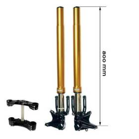 Kit fourche ohlins bmw r18 gold + plaques de garage unit avec pieds radiaux