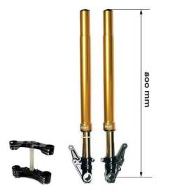 Kit fourche ohlins bmw r18 gold + plaques de garage unit avec pieds axiaux