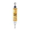 Öhlins s36dr1l bmw r850r-r1150r (2001-2006)