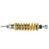 Ohlins avant 46dr r1200r