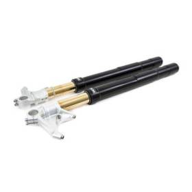 Fourche Öhlins r ninet noir...