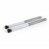 Cartouche double vitesse ohlins fsk 100 (2019-2020)