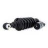 Amortisseur Öhlins s46pr1c1 blackline indian ftr 1200 r carbon (2021-2023)