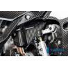 Cache faisceau électrique BMW S 1000 RR à partir de 2019 / M 1000 RR / M 1000 R Ilmberger Carbon