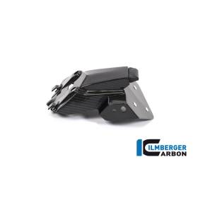Support de plaque d’immatriculation BMW S 1000 RR à partir de 2019 Ilmberger Carbon