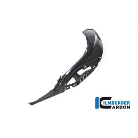 Panneau latéral droit du réservoir avec fixations pour panneau OEM coloré BMW S 1000 RR à partir de 2019 Ilmberger Carbon
