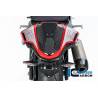 Unité de selle biposto BMW M 1000 RR à partir de 2023 Ilmberger Carbon