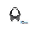 Partie centrale de la coque de selle BMW M 1000 RR 2023 Ilmberger Carbon