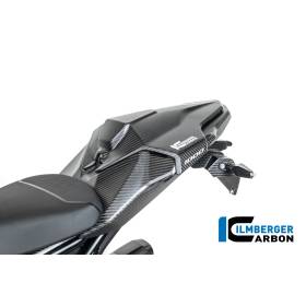 Partie centrale de la coque arrière M 1000 RR à partir de 2023 Ilmberger Carbon