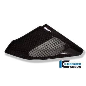 Cache injection carbone - BMW R 1200 GS (R 1200 GS (2004-2012) - Ilmberger Carbon
