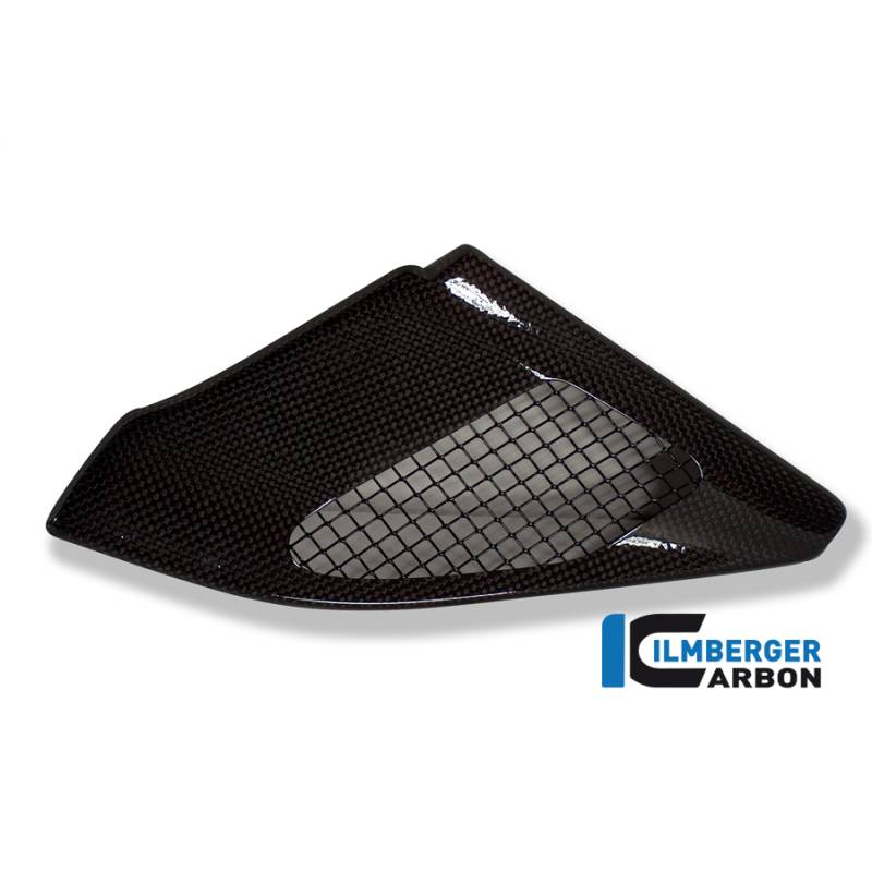 Cache injection carbone - BMW R 1200 GS (R 1200 GS (2004-2012) - Ilmberger Carbon Cache injection carbone - BMW R 1200 GS (R 1200 GS (2004-2012) - Ilmberger Carbon