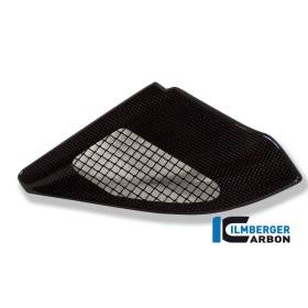Cache injection carbone - BMW R 1200 GS (R 1200 GS (2004-2012) - Ilmberger Carbon