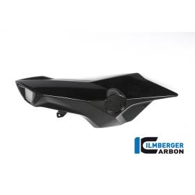 Cache-tube d'air (côté gauche) - BMW F 800 R (à partir de 2015) (F 800 R (ab 2015) - Ilmberger Carbon