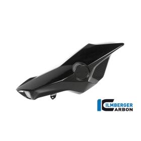 Cache-tube d'air (côté gauche) - BMW F 800 R (à partir de 2015) (F 800 R (ab 2015) - Ilmberger Carbon