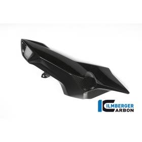 Cache-tube d'air (côté gauche) - BMW F 800 R (à partir de 2015) (F 800 R (ab 2015) - Ilmberger Carbon