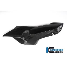 Cache-tube d'air (côté droit) - BMW F 800 R (à partir de 2015) (F 800 R (ab 2015) - Ilmberger Carbon