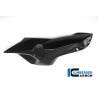 Cache-tube d'air (côté droit) - BMW F 800 R (à partir de 2015) (F 800 R (ab 2015) - Ilmberger Carbon