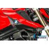 Cache-tube d'air (côté droit) - BMW F 800 R (à partir de 2015) (F 800 R (ab 2015) - Ilmberger Carbon