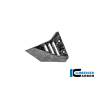 Cache triangle avant cadre gauche brillant BMW R1300GS Adv Black DiamondIlmberger Carbon