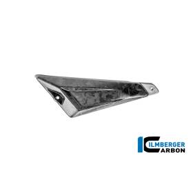 Protection arrière mat BMW R1300GS Adv Black DiamondIlmberger Carbon
