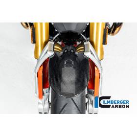 Garde-boue avant brillant BMW R12 NineT 2024 - Ilmberger Carbon