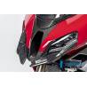Extension de bec avant BMW S 1000 XR (-20) - Ilmberger Carbon