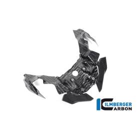 Extension de bec avant BMW S 1000 XR (-20) - Ilmberger Carbon