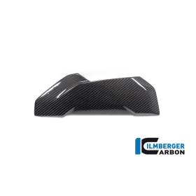 Cache latéral droit du radiateur d'eau BMW BMW S 1000 XR (-20) - Ilmberger Carbon