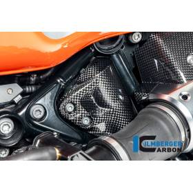 Cache reniflard de réservoir brillant BMW R12 NineT 2024 - Ilmberger Carbon