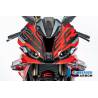 Partie centrale du carénage street BMW S1000RR - Ilmberger Carbon