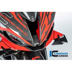 Partie centrale du carénage street BMW S1000RR - Ilmberger Carbon