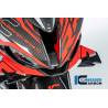 Partie centrale du carénage street BMW S1000RR - Ilmberger Carbon