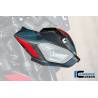 Kit masque léger Carbone brillant BMW M1000R - Ilmberger Carbon