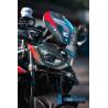 Kit masque léger Carbone brillant BMW M1000R - Ilmberger Carbon