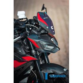 Kit masque léger Carbone brillant BMW M1000R - Ilmberger Carbon