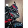 Kit masque léger Carbone brillant BMW M1000R - Ilmberger Carbon