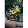 Prise d'air Carbon Gloss S 1000 RR Street (à partir de 2025) - Ilmberger Carbon