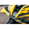Prise d'air Carbon Gloss S 1000 RR Street (à partir de 2025) - Ilmberger Carbon