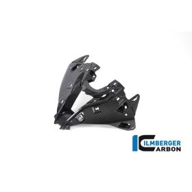 Prise d'air centrale de carénage avant BMW M1000RR, S 1000 RRIlmberger Carbon