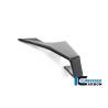 Aileron gauche BMW M1000RR - Ilmberger Carbon