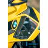 Aile intérieure droite brillant S 1000 RR Street (à partir de 2025) - Ilmberger Carbon