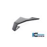 Aileron droit BMW M1000RR - Ilmberger Carbon