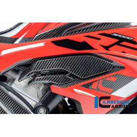 Déflecteur d'air droit BMW S1000RR 2023 - Ilmberger Carbon