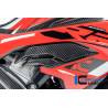 Déflecteur d'air droit BMW S1000RR 2023 - Ilmberger Carbon