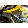 Kit d'ailes BMW M1000RR / S1000RRIlmberger Carbon