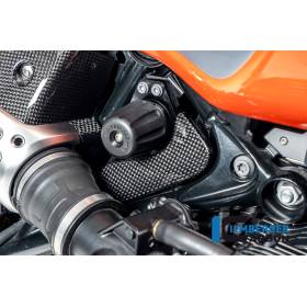 Cache boîte à outils brillant BMW R12 NineT 2024 - Ilmberger Carbon