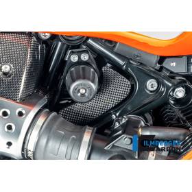 Cache boîte à outils brillant BMW R12 NineT 2024 - Ilmberger Carbon