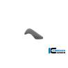 Cache boîte à outils brillant BMW R12 NineT 2024 - Ilmberger Carbon