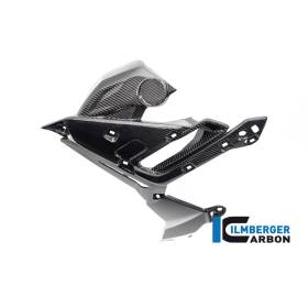 Cache radiateur gauche BMW S1000R (21-) - Ilmberger Carbon
