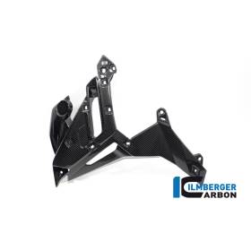 Cache radiateur gauche BMW S1000R (21-) - Ilmberger Carbon